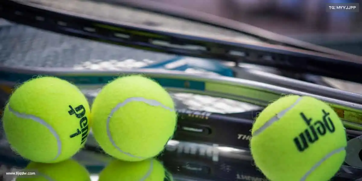 IM电竞🥋一招一式,皆是对自我的超越 —— 武道精神,在此绽放!